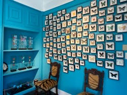 異人館うろこグループに投稿された画像(2025/11/15)