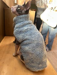 つくばわんわんランドに投稿された画像(2025/11/15)