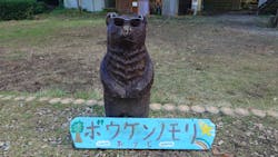 冒険の森おうじに投稿された画像(2025/11/15)