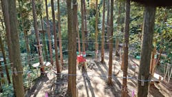 冒険の森おうじに投稿された画像(2025/11/15)