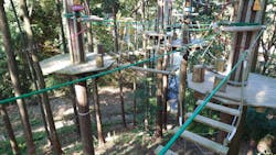 冒険の森おうじに投稿された画像(2025/11/15)