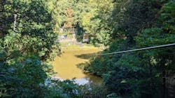 冒険の森おうじに投稿された画像(2025/11/15)