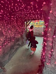 浅草花やしきに投稿された画像(2025/11/15)