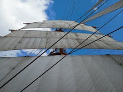 帆船日本丸・横浜みなと博物館 柳原良平アートミュージアムに投稿された画像(2025/11/16)