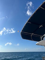 Sea World(シーワールド)に投稿された画像(2025/11/16)