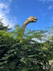 御菓子御殿 名護店 やんばる亜熱帯の森DINO恐竜PARKに投稿された画像(2025/11/16)