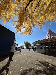 城島高原パークに投稿された画像(2025/11/17)