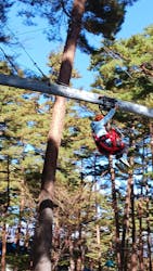 富士すばるランドに投稿された画像(2025/11/17)