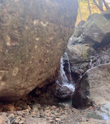 白瀧大明神奉賛会に投稿された画像(2025/11/17)