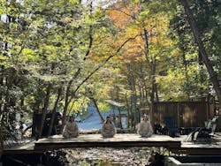 白瀧大明神奉賛会に投稿された画像(2025/11/17)