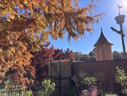 ムーミンバレーパークに投稿された画像(2025/11/18)