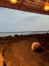 Sand SPA(別府海浜砂湯)に投稿された画像(2025/11/20)