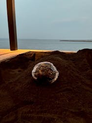 Sand SPA(別府海浜砂湯)に投稿された画像(2025/11/20)