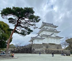 那須ステンドグラス美術館に投稿された画像(2025/11/20)