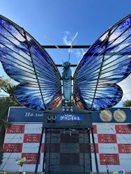 伊豆ぐらんぱる公園に投稿された画像(2025/11/21)