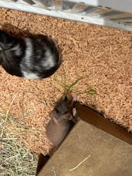 アニタッチららぽーと名古屋みなとアクルスに投稿された画像(2025/11/22)