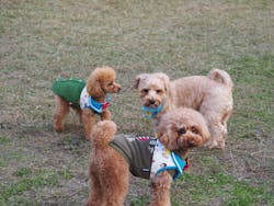 滋賀農業公園ブルーメの丘に投稿された画像(2025/11/22)