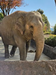 日立市かみね動物園に投稿された画像(2025/11/22)