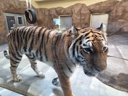 日立市かみね動物園に投稿された画像(2025/11/22)