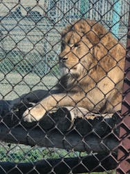 岩手サファリパークに投稿された画像(2025/11/23)