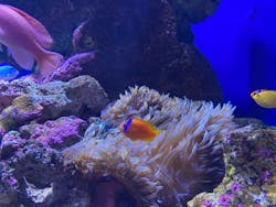 仙台うみの杜水族館に投稿された画像(2025/11/23)