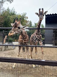 ANIMAL WONDER REZOURT 市原ぞうの国・サユリワールドに投稿された画像(2025/11/23)