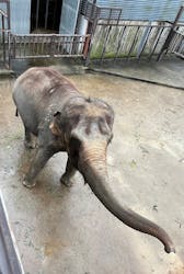 ANIMAL WONDER REZOURT 市原ぞうの国・サユリワールドに投稿された画像(2025/11/23)