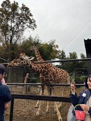 ANIMAL WONDER REZOURT 市原ぞうの国・サユリワールドに投稿された画像(2025/11/23)