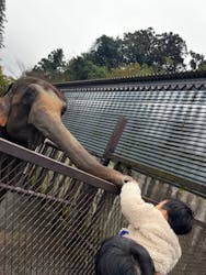 ANIMAL WONDER REZOURT 市原ぞうの国・サユリワールドに投稿された画像(2025/11/23)