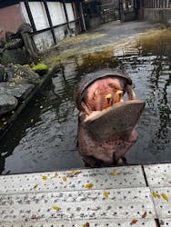 ANIMAL WONDER REZOURT 市原ぞうの国・サユリワールドに投稿された画像(2025/11/23)