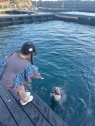 太地町立くじらの博物館に投稿された画像(2025/11/23)
