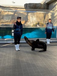 仙台うみの杜水族館に投稿された画像(2025/11/23)