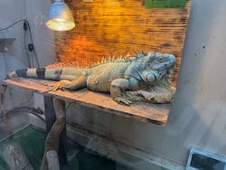 仙台うみの杜水族館に投稿された画像(2025/11/23)