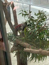 淡路ファームパーク イングランドの丘に投稿された画像(2025/11/24)