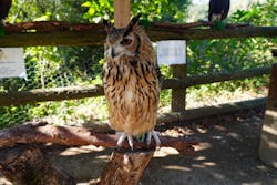 しろとり動物園に投稿された画像(2025/11/24)