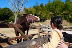 しろとり動物園に投稿された画像(2025/11/24)