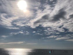 Blue Peter Surf Club Zaimokuzaに投稿された画像(2025/11/24)