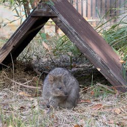 こども動物自然公園(埼玉県公園緑地協会)に投稿された画像(2025/11/24)