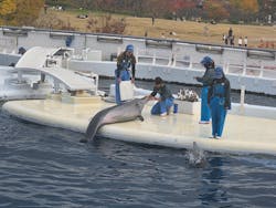 京都水族館に投稿された画像(2025/11/24)