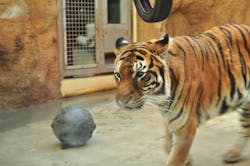 日立市かみね動物園に投稿された画像(2025/11/24)