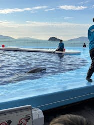 四国水族館に投稿された画像(2025/11/24)