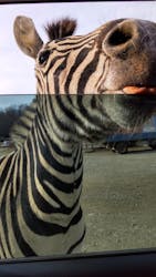 東北サファリパークに投稿された画像(2025/11/25)