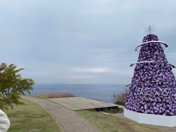 ACAO FORESTに投稿された画像(2025/11/25)