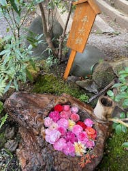 ACAO FORESTに投稿された画像(2025/11/25)