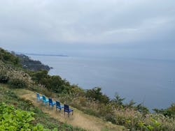 ACAO FORESTに投稿された画像(2025/11/25)