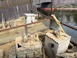 伊豆シャボテン動物公園に投稿された画像(2025/11/25)