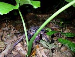 宮古島マリンショップSmileyに投稿された画像(2025/11/26)