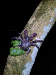 宮古島マリンショップSmileyに投稿された画像(2025/11/26)