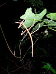 宮古島マリンショップSmileyに投稿された画像(2025/11/26)