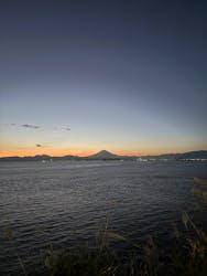 江の島シーキャンドル×新江ノ島水族館に投稿された画像(2025/11/26)